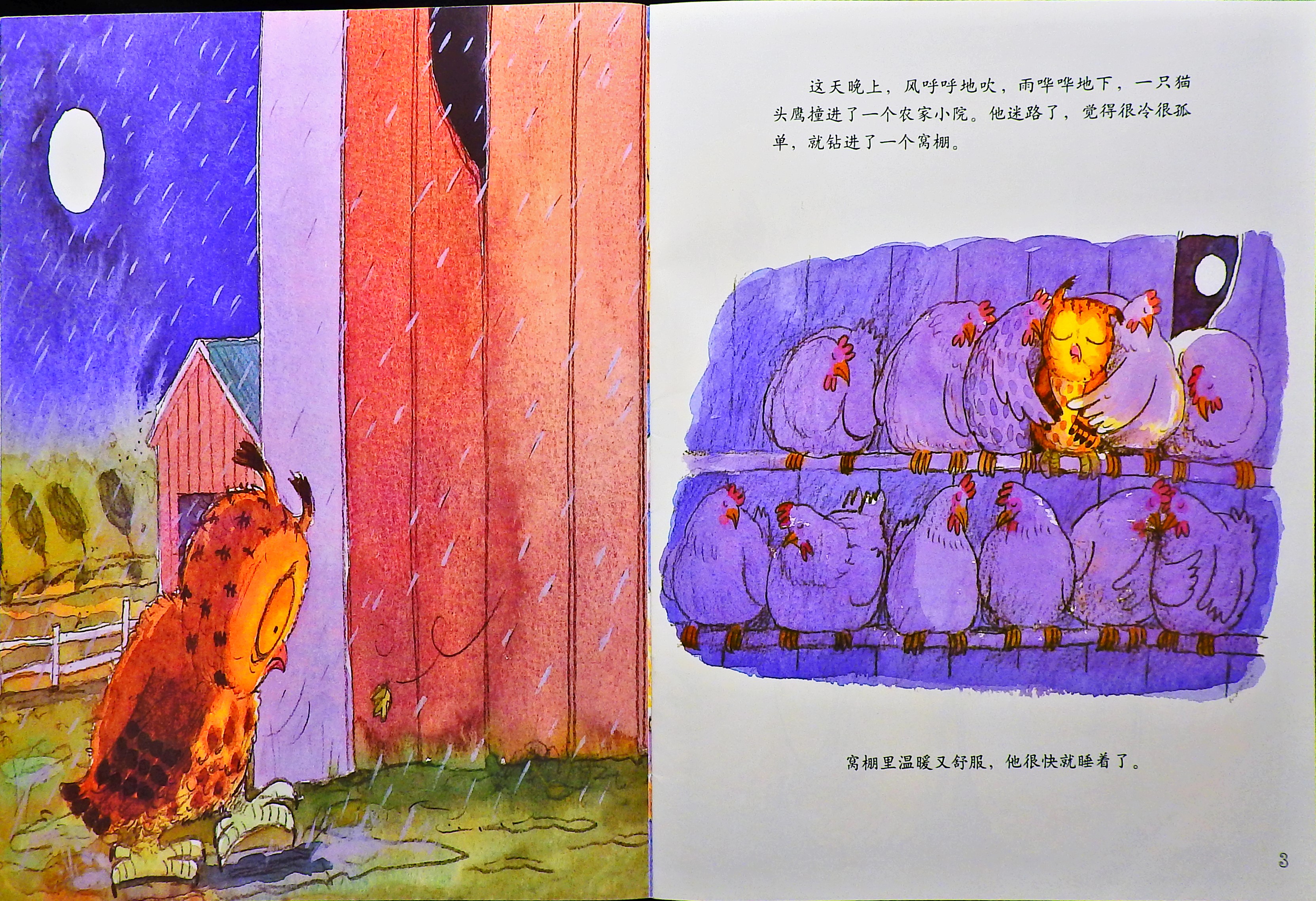 猫头鹰喔喔呼 (05),绘本,绘本故事,绘本阅读,故事书,童书,图画书,课外阅读
